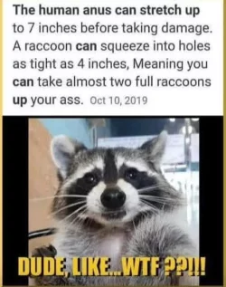 712644225_27471755762416201_8256121651798989896_n.webp