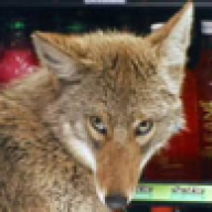 CoyoteUglySC