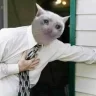 Seph
